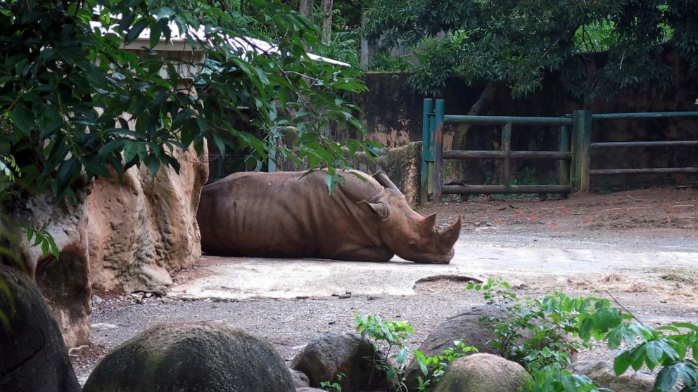 Puerto Rico to close lone zoo after years of complaints