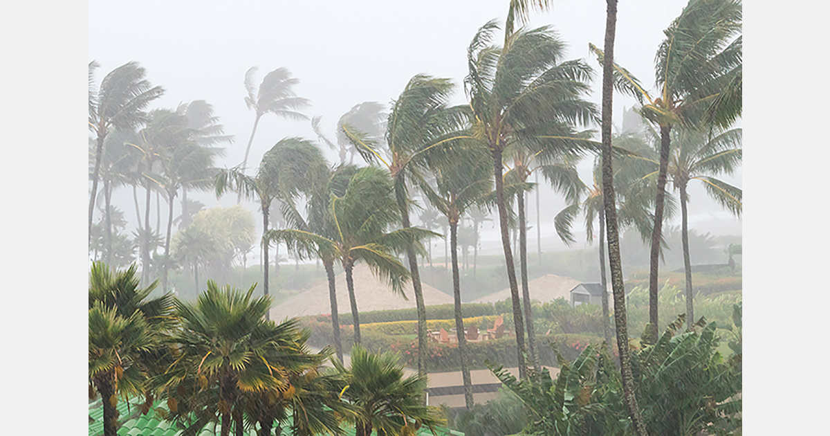 Agricultural insurance gaps discussed in Puerto Rico following tropical storm Ernesto